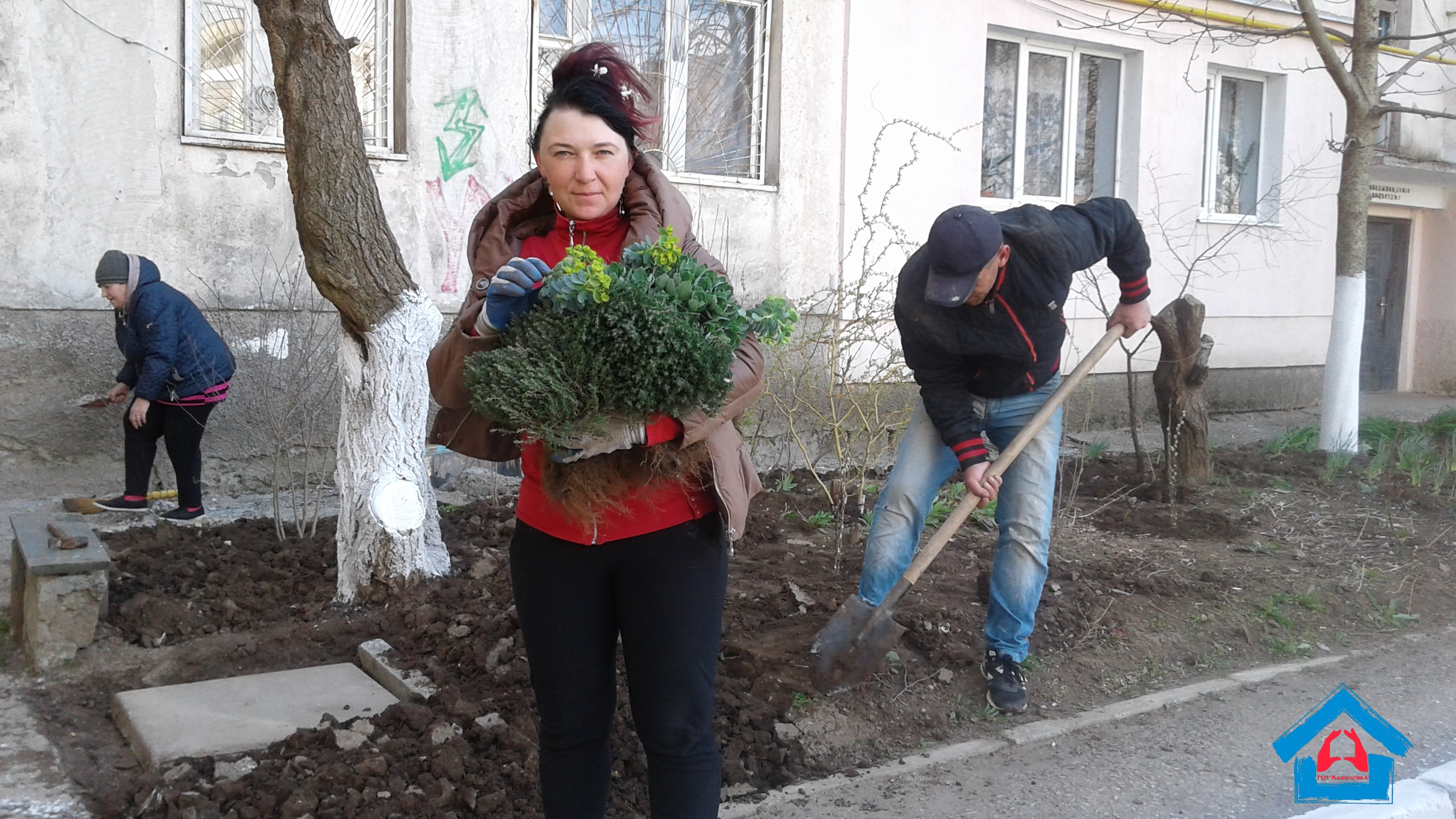 Погода в калиновке